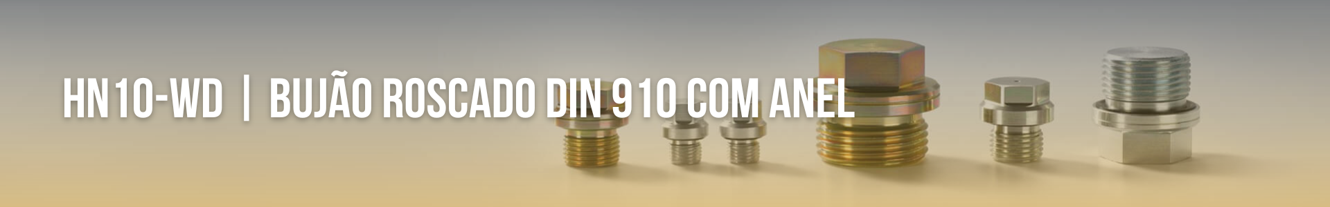 HN10-WD | Bujão Roscado DIN 910 com Anel