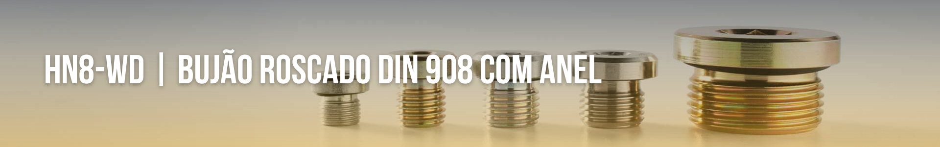 HN8-WD | Bujão Roscado DIN 908 com Anel